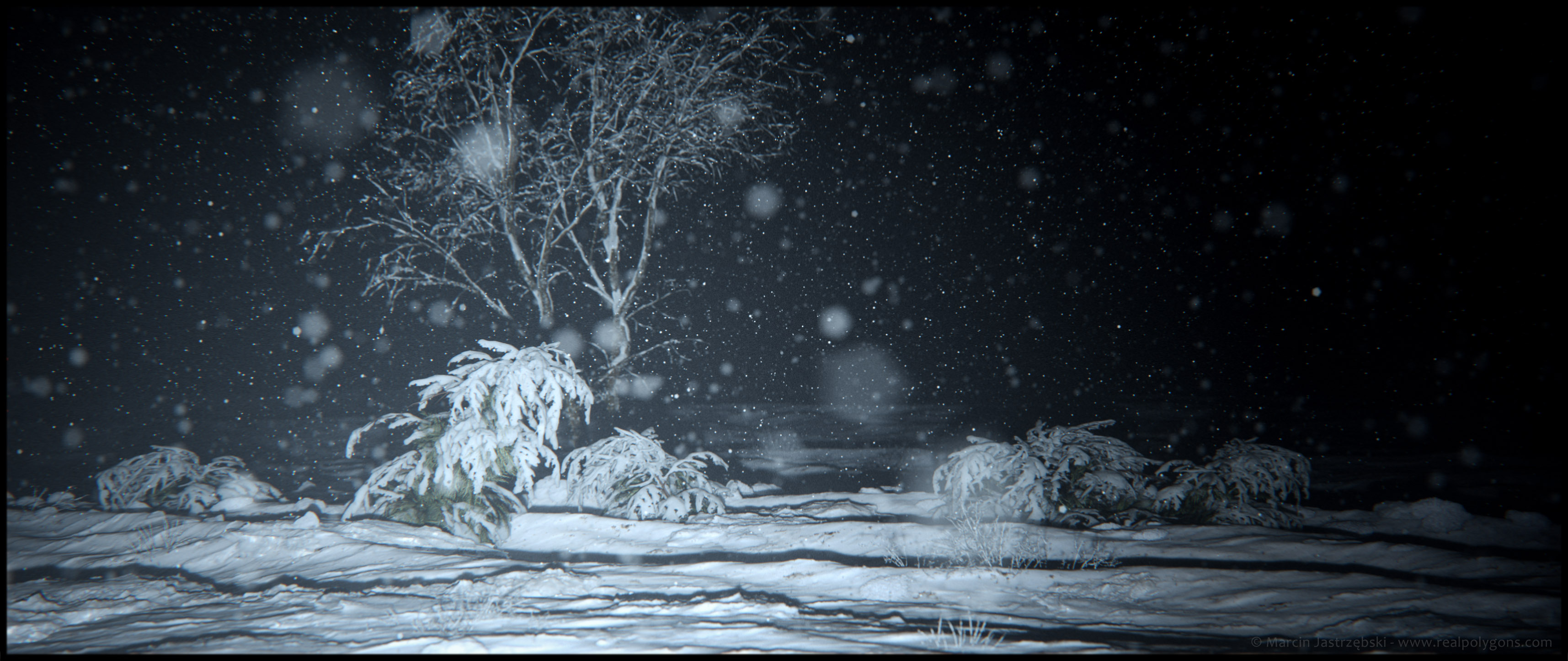 SnowD-1.jpg